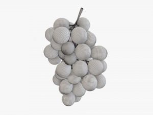 Grapes 06 Modelo 3D