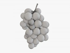 Trauben 06 3D Modell