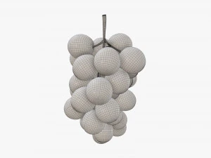 Trauben 06 3D Modell