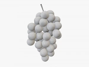 Trauben 06 3D Modell