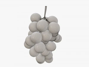 Trauben 06 3D Modell