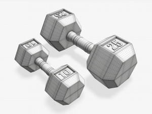 Hexagonal rubberized dumbbells 01 3D मॉडल