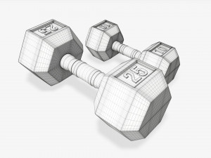 Hexagonal rubberized dumbbells 01 3D मॉडल