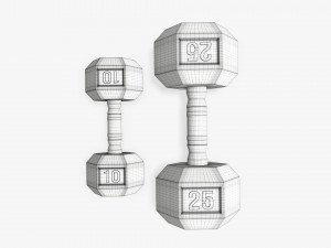 Hexagonal rubberized dumbbells 01 3D मॉडल