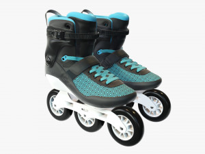 Inline roller skates 3D Model