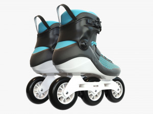 Inline roller skates 3D Model