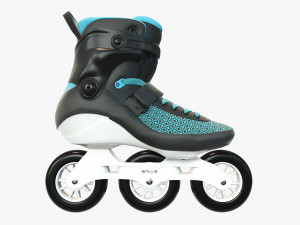 Inline roller skates 3D Model