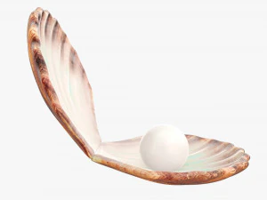 Perla all'interno della conchiglia Modello 3D