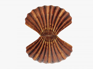 Pearl inside seashell Modelo 3D