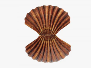 Perla all'interno della conchiglia Modello 3D