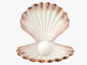 Perla all'interno della conchiglia Modello 3D