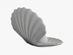Perla all'interno della conchiglia Modello 3D