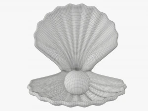 Perla all'interno della conchiglia Modello 3D