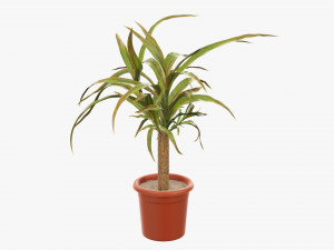 Plant 01 Modelo 3D