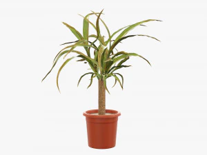 Plant 01 3D Model