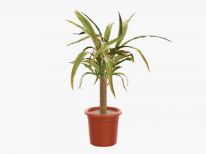 Plant 01 3D मॉडल
