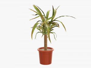 Plant 01 3D Model