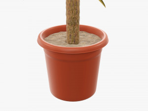 Plant 01 3D मॉडल