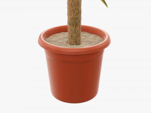 Plant 01 3D Model