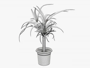 Plant 01 3D Model