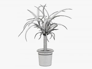 Plant 01 3D Model