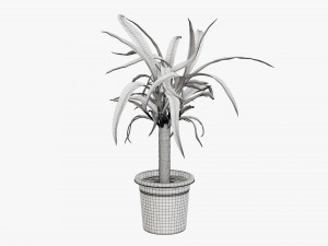 Plant 01 3D मॉडल