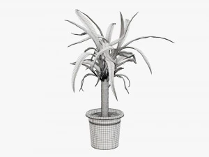 Plant 01 3D Model