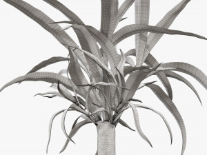 Plant 01 3D मॉडल