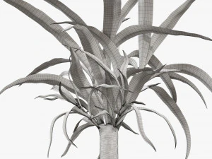 Plant 01 3D Model