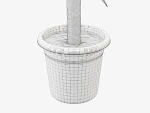 Plant 01 3D Model