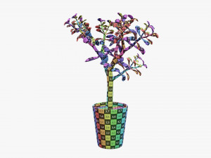 Plant crassula in flower pot Modelo 3D