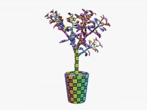 Planta crassula en maceta Modelo 3D