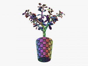 Plant crassula in flower pot Modelo 3D
