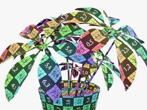 Plant schefflera in pot 3D Model