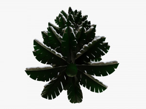 Stylized Christmas fir tree 02 Modelo 3D
