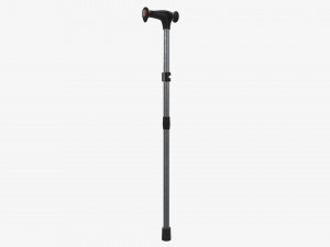 Lightweight walking stick 3D Model
