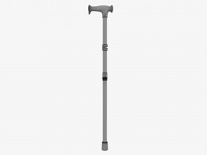 Lightweight walking stick 3D Model