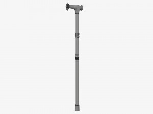 Lightweight walking stick 3D Model