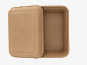 Take-out lunch cardboard box 01 3D Model