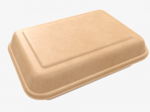 Take-out lunch cardboard box 01 closed Modelo 3D