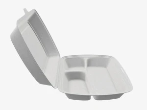 Take-out lunch polystyrene box 02 3D Model