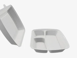 Take-out lunch polystyrene box 02 3D Model