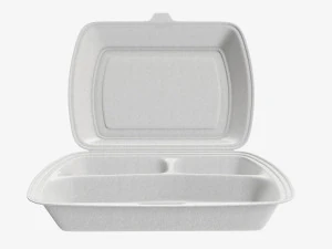Take-out lunch polystyrene box 02 3D Model