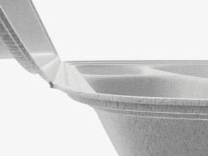 Take-out lunch polystyrene box 02 3D Model