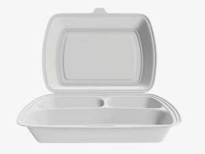 Take-out lunch polystyrene box 02 3D Model