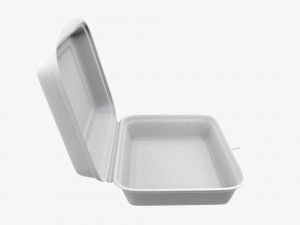 Take-out lunch polystyrene box 03 Model 3D