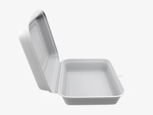 Take-out lunch polystyrene box 03 3D Model