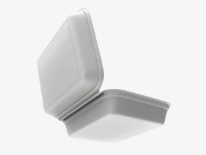 Take-out lunch polystyrene box 03 3D Model