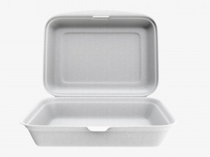 Take-out lunch polystyrene box 03 Model 3D