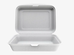 Take-out lunch polystyrene box 03 3D Model